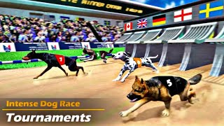 Intense Dog Race Tournament|| Dog Race Game : Dog Racing 3d Gameplay video screenshot 2