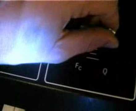 Octave Plateau Cat Family -4