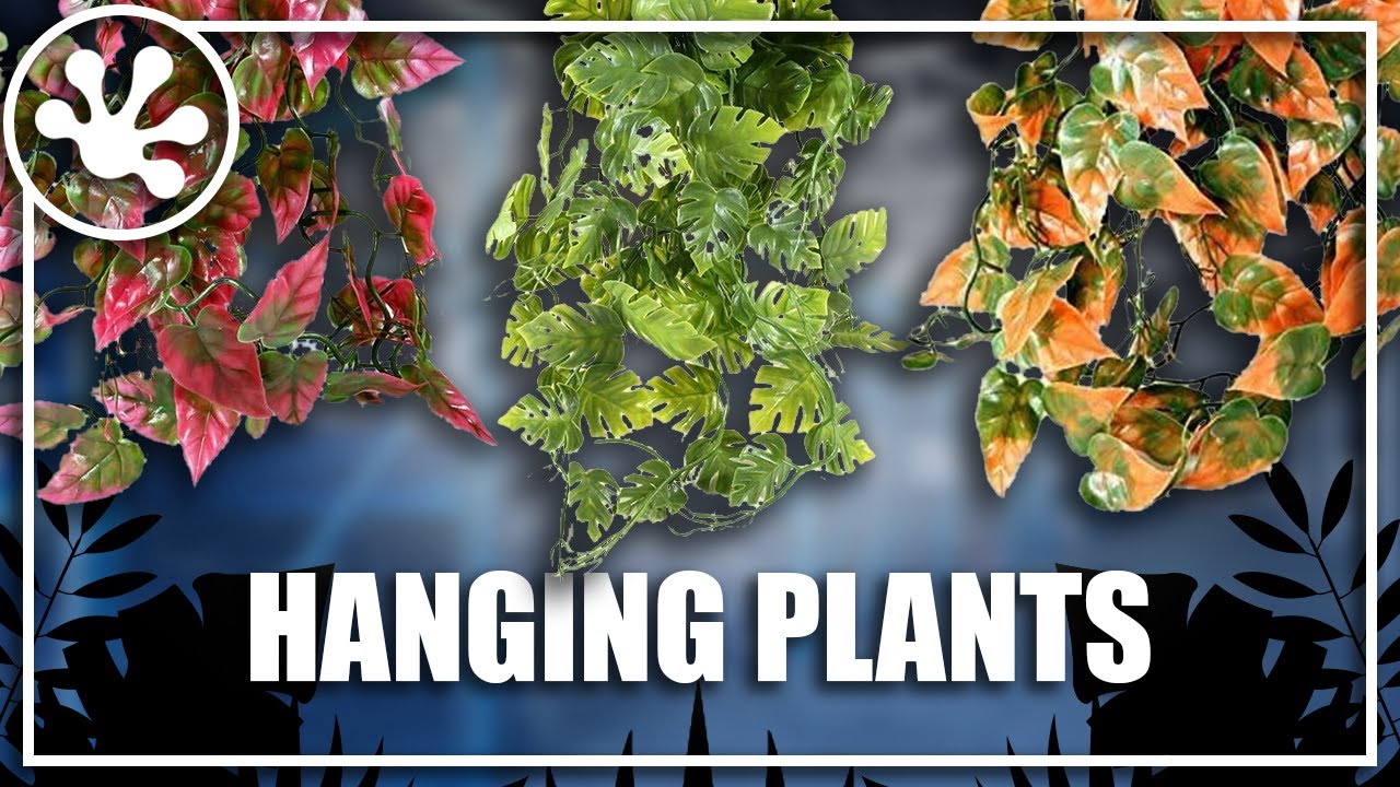 NEW PRODUCT! Pangea Plants