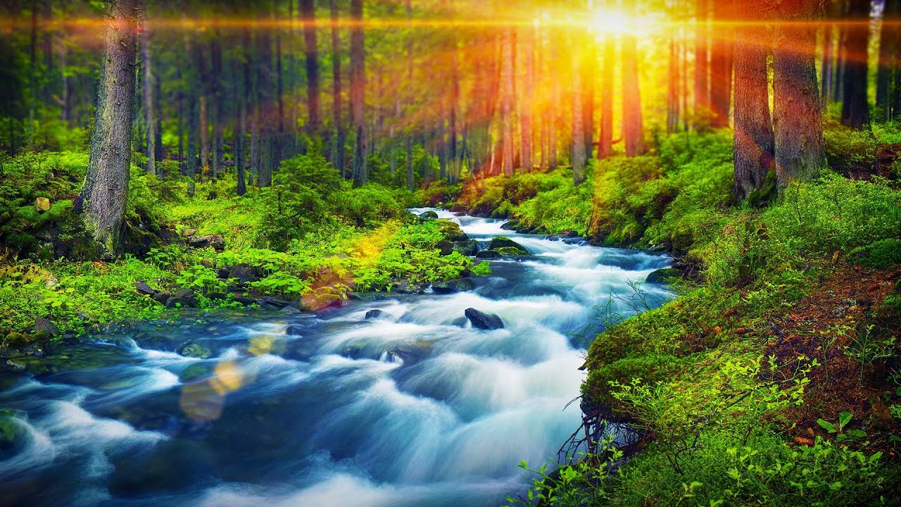 Forest River Peaceful Sounds for Relaxation, Sleep or Studying | White ...