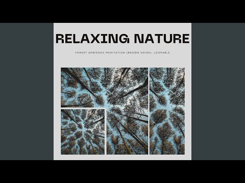 Παρακολούθηση Brown Noise, Total Forest (Loopable) στο YouTube