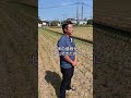 農家は廃業ですわ#熊本 #魚粉肥料 #農業を盛り上げたい