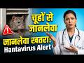 Hantavirus: क्या भारत को डरने की ज़रूरत है? | Symptoms & Prevention 🐭