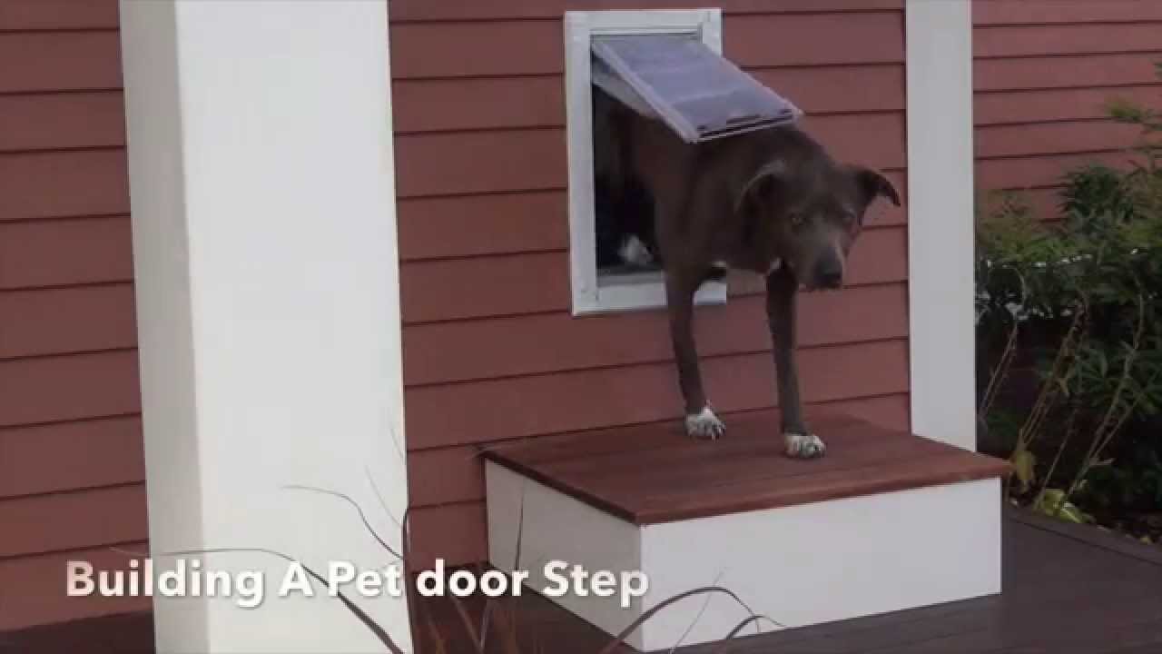 dog door step down