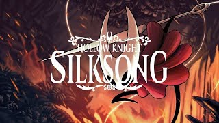 con fe todo se puede segun SILKSONG