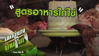 EP82 สูตรอาหาร เป็ด,ไก่ ง่ายๆแบบลดต้นทุน ฟองใหญ่ เปลือกหนา ฟองโต