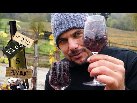 Video: Rotwein: Wohltuende Eigenschaften Und Geschmacksnuancen