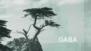 RAINBOW BRIDGE - Gaba (official visualizer) /// ARGONAUTA Records