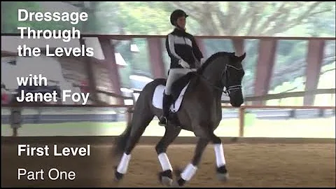 Janet Foy Discusses First Level