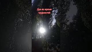 #аятулькурси #намаз #подпишись #суры #молитвы #дуа #священныйкоран