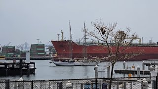 Neutron Sound sailing into San Pedro. Small ship exiting at same time.