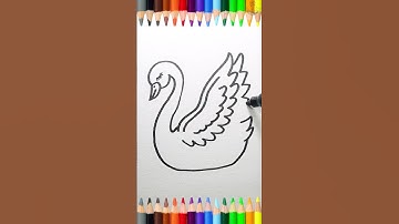 Very Easy Swan 🦢 Drawing Shorts Video | Kids Drawing Hub | #shorts #video