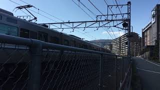 サントリーカーブ1