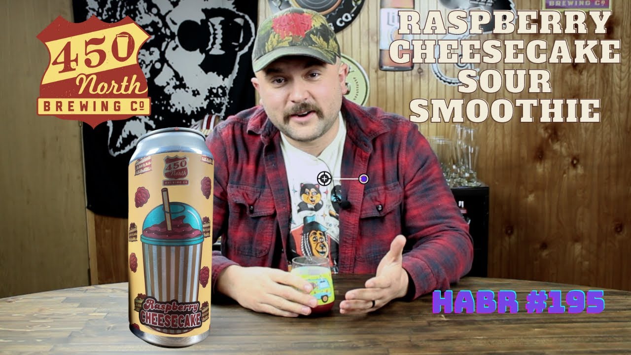 450 North Brewing Co | Raspberry Cheesecake Smoothie Sour | Beer Review | HABR 