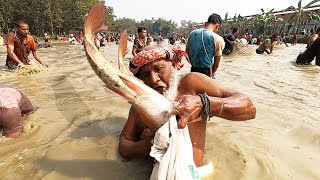 Awesome Traditional Fishing Festival Of Village And Mim Fishing BD