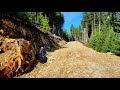 New logging road cuts through parallel quartz veins