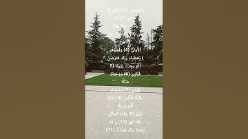 سورة الضحى | تلاوة خاشعة | #المصحف #اكسبلور #الشيخ