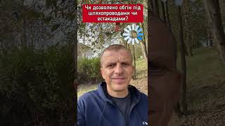 чи дозволено обгін під шляхопроводами чи естакадами? #пдр #пдд #автохвиля
