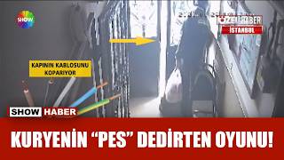 Kurye 9. Kata Çıkmamak Için Kapıyı Bozdu