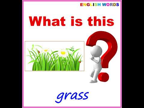 Grass Word For Phonics Sounds Learn Pronunciation Of English Words ENGLISH WORDS 4K