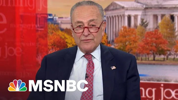 Sen. Schumer: Democrats Won Because We Talked About Things Americans Cared About