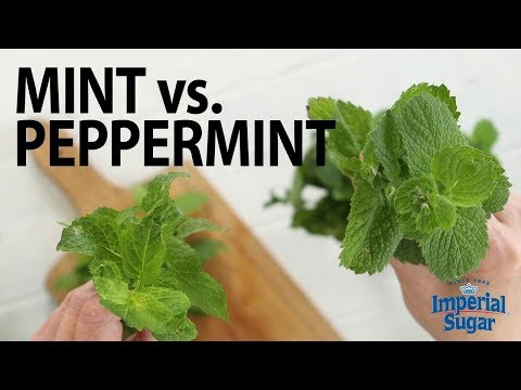 The Difference Between Mint & Peppermint