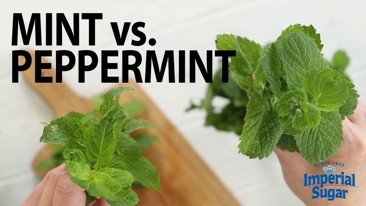 What S The Difference Between Mint And Peppermint Imperial