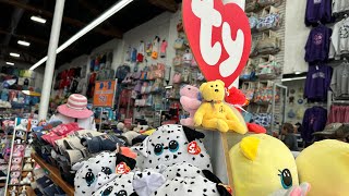 Cute & Cuddly TY Beanie Boos, Beanie Babies, Squishmallows New Find Collectibles at Wings in OB