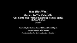 Was (Not Was) (Return To The Valley Of) Out Come The Freaks 12' Remix