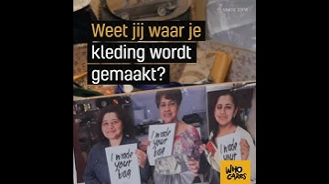 DSFW is in volle gang