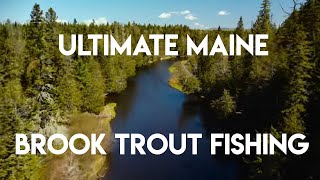 Ultimate Maine Brook Trout