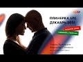 Планёрка LPC, декабрь 2021. Александр Палиенко и Николь Кустовская.