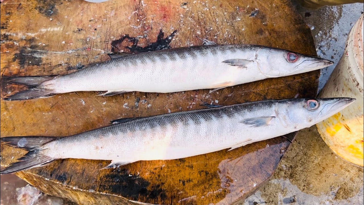 How to Clean Trout Fish Perfectly !! Mahesh Meat Cuts !! Cutting Master Venkat Bhai Hyderabad vlog 