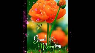 Good Morning video🌄💖, Beautiful Whatsapp status, Wishes/Greetings/quotes/SMS/Gif/Messages video screenshot 5