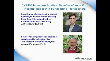 CYP450 Induction Studies: Benefits of an In Vitro Hepatic Model with Functioning Transporters