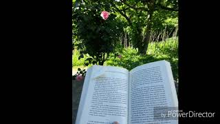 Yer Yüzü Aşkın Yüzü Oluncaya Dek... Seslendirme Gökhan Mısırli