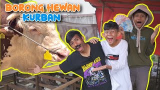 DRAMA LUCU | ORANG KAYA VS ORANG MISKIN BELI HEWAN KURBAN | Princess Rara