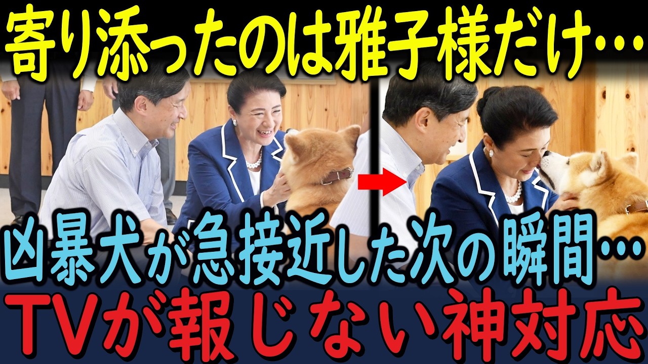 秋田の凶暴犬が雅子様に急接近した次の瞬間…！？TV …