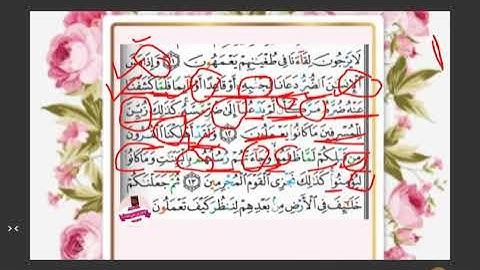 تجويد مبسط واستخراچ أحكام وتلاوة آيات ١٢_١٤سورة يونُس🐳