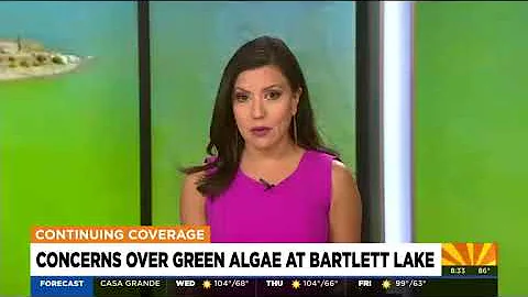 Algae at Bartlett Lake