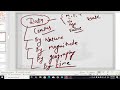 Lec 04 Data Classification