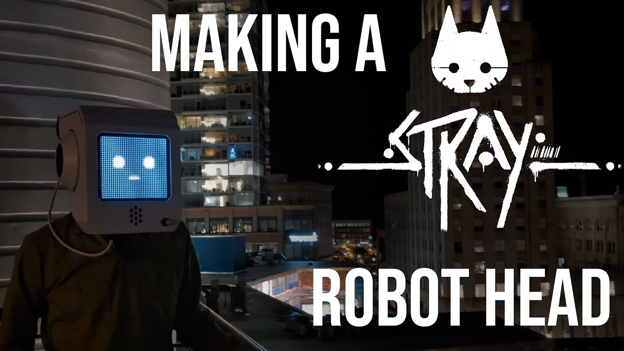 Making a Robot Head from Stray