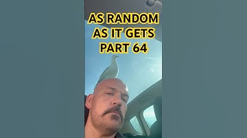 AS RANDOM AS IT GETS 64 #seagull #attack #birds #bird