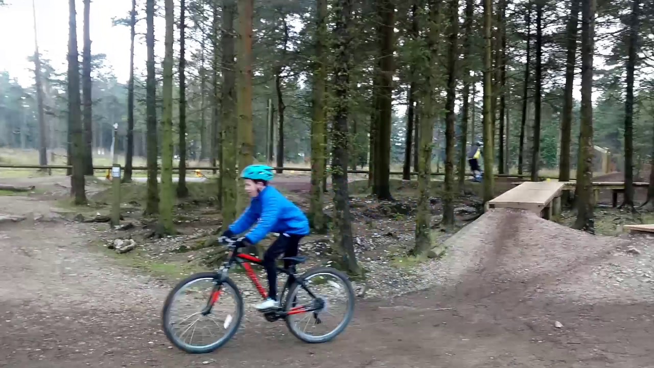haldon bike trails