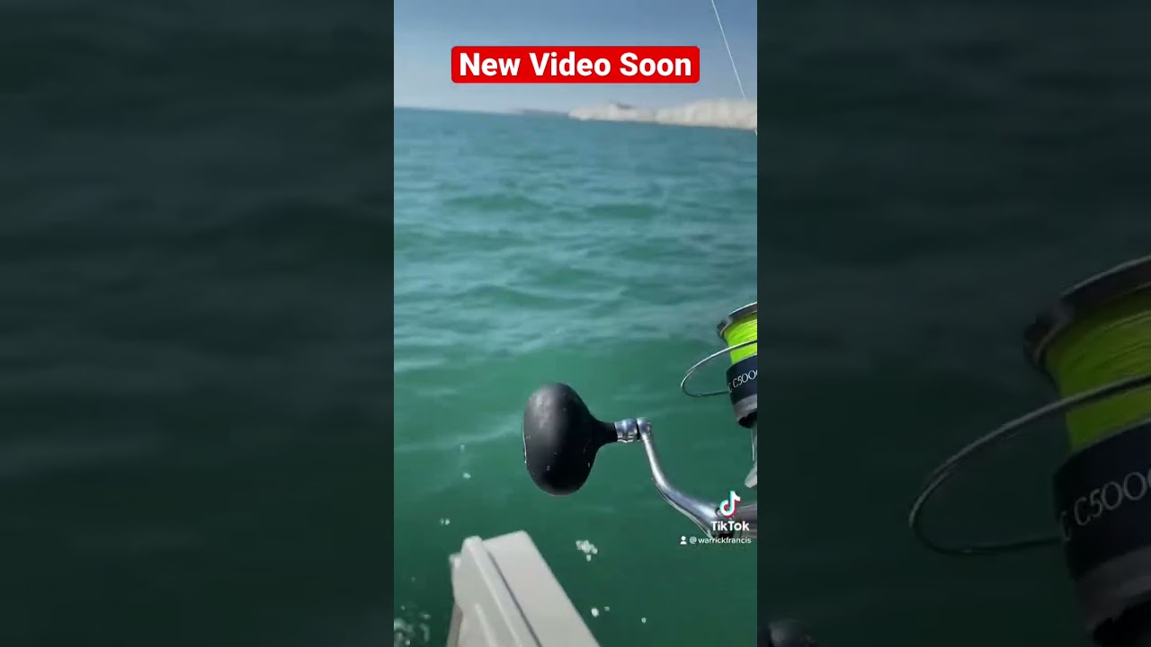 Mastering the Art of Sea Bass Fishing with Lures: Tips and Techniques"