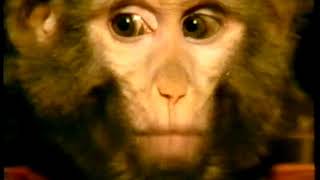 The Mind Machine Episode 7 - Sight Unseen by Colin Blakemore
