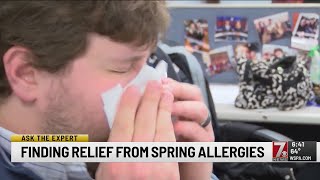 ASK THE EXPERT: Finding relief from spring allergies