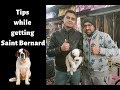 Pet Care | TIPS WHILE GETTING SAINT BERNARD DOG | PUPPY | BholaShola | Harwinder Singh Grewal