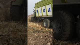CLAAS  Arion 620 c e lexion 740 #shorts