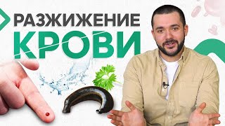 Кровь. Укрепление сердечно-сосудистой системы. Разжижение крови.